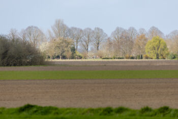 Toekomstcup Philippine "Mini omloop van de braakman" - 0P5A2662