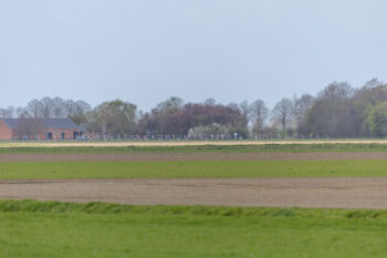 Toekomstcup Philippine "Mini omloop van de braakman" - 0P5A2674