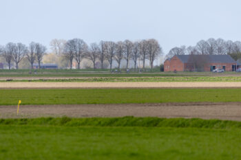 Toekomstcup Philippine "Mini omloop van de braakman" - 0P5A2688