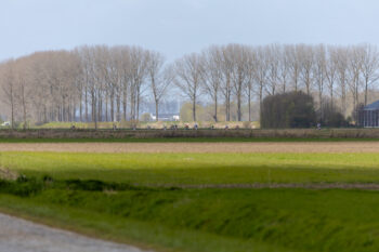 Toekomstcup Philippine "Mini omloop van de braakman" - 0P5A2698